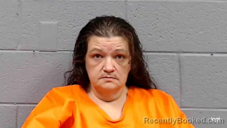 Mugshot of Tanya Jean Boling booked in Greenbrier County, West Virginia on October 26, 2026