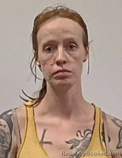Mugshot of Alissa Lynn Comire booked in Hampshire County, West Virginia on July 6, 2026