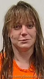 Mugshot of Brittany Denise Fee booked in Hampshire County, West Virginia on March 20, 2026