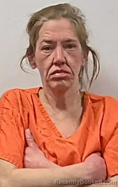 Mugshot of Jodi Renee Evans