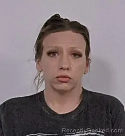 Mugshot of Leah Iser Plummer