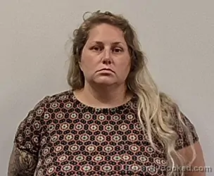 Mugshot of Sarah Elizabeth Dyche booked in Hampshire County, West Virginia on August 26, 2026