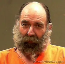 Mugshot of David Michael Loosemore