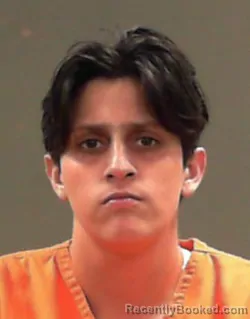 Mugshot of Mollie Antionette Shanabarger booked in Hancock County, West Virginia on June 24, 2026