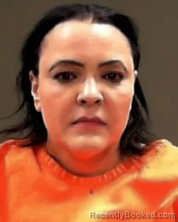 Mugshot of Rebecca Lynn Naman booked in Hancock County, West Virginia on August 15, 2026