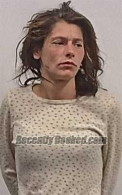 Booking photo from Hardy County, West Virginia