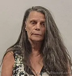 Mugshot of Lisa Kay Haines booked in Hardy County, West Virginia on August 5, 2026
