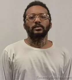 Mugshot of Teroy Maurice Lemon booked in Hardy County, West Virginia on March 26, 2026