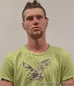 Mugshot of Tyler William Wilson booked in Hardy County, West Virginia on March 26, 2026