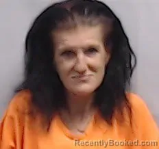 Mugshot of Amanda Lauren Jones booked in Harrison County, West Virginia on October 11, 2026