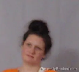 Mugshot of Heidi Dawn Dodd booked in Harrison County, West Virginia on July 11, 2026