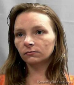 Mugshot of Joyce Lynn Horner booked in Harrison County, West Virginia on March 31, 2026