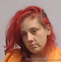Mugshot of Misty Dawn Lee booked in Harrison County, West Virginia on June 8, 2026