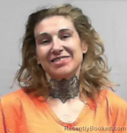 Mugshot of Sabra Ann McGinnis booked in Harrison County, West Virginia on April 25, 2026