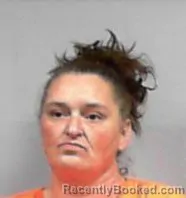 Mugshot of Stacy Lorraine Knight booked in Harrison County, West Virginia on April 14, 2026
