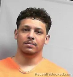 Mugshot of Seige Michael Richards