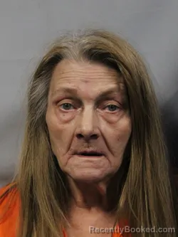 Mugshot of Anita Mae Nelson booked in Jackson County, West Virginia on October 15, 2026