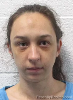Mugshot of Allison Dawn Farris