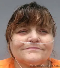 Mugshot of Candy Renee Waldron