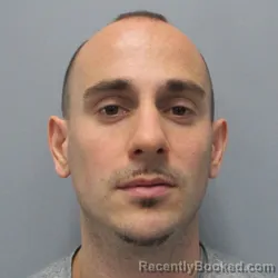 Mugshot of Dominick William Palmiero booked in Jefferson County, West Virginia on August 1, 2026
