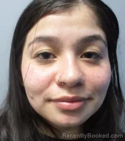 Mugshot of Genesis Geovanna Yanes-Fuentes booked in Jefferson County, West Virginia on March 23, 2026