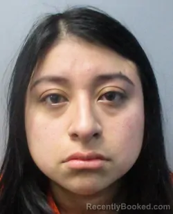 Mugshot of Isabel Rebecca Beard booked in Jefferson County, West Virginia on April 2, 2026