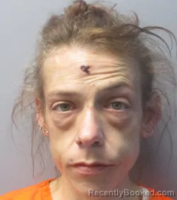 Mugshot of Megan Elaine Edwards booked in Jefferson County, West Virginia on October 17, 2026