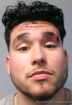 Mugshot of Nicolas Wayne Zitacuard