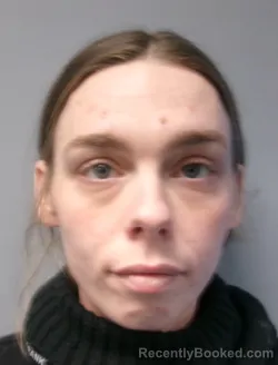 Mugshot of Skylin Nichole Funk