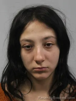 Mugshot of Amari Ann-Day Fields