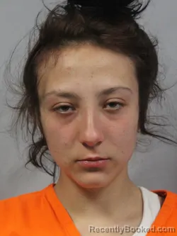 Mugshot of Amari Ann-Day Fields