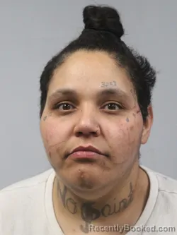 Mugshot of Ashley Donnelle Johnson