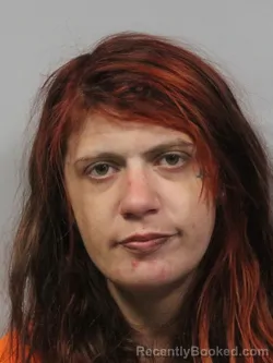 Mugshot of Abigail Laurel Rose booked in Kanawha County, West Virginia on June 11, 2026