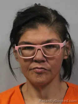 Mugshot of Amy Lee Yeager