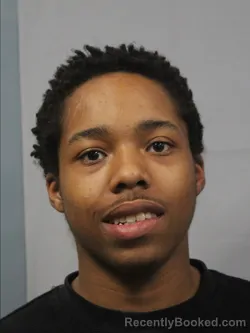 Mugshot of Demariee Jacar Brown