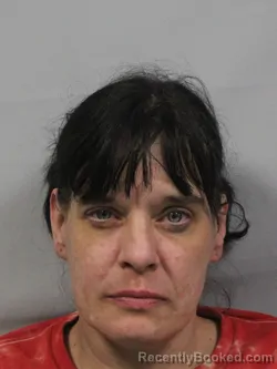 Mugshot of Debra Lynn Wiley