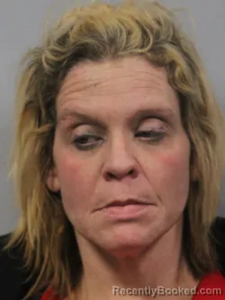 Mugshot of DANIELLE MARIE BOREK