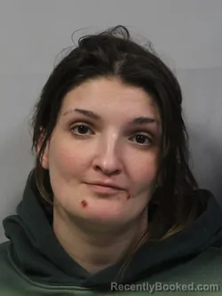 Mugshot of Destiny Nicole McCallister