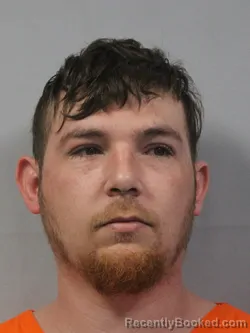 Mugshot of Dillon T Wisenburg