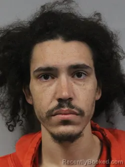 Mugshot of Elijah Swain