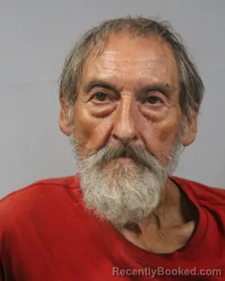 Mugshot of Holley Denzel Larabee