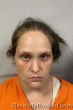 Mugshot of Heather Danyelle Mcdonald booked in Kanawha County, West Virginia on June 20, 2026