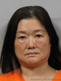 Mugshot of Hungping Jackie Singleton-Lai booked in Kanawha County, West Virginia on September 6, 2026