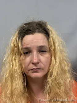 Mugshot of Jamie Lou Taylor booked in Kanawha County, West Virginia on September 4, 2026