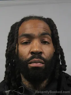 Mugshot of Jordan Mcneal Lott