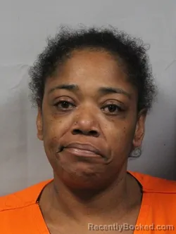 Mugshot of Juanita Rosa Gray booked in Kanawha County, West Virginia on April 18, 2026