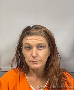 Mugshot of Kristy Dawn Manley booked in Kanawha County, West Virginia on June 25, 2026