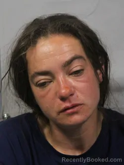 Mugshot of Leigh Ann Casto