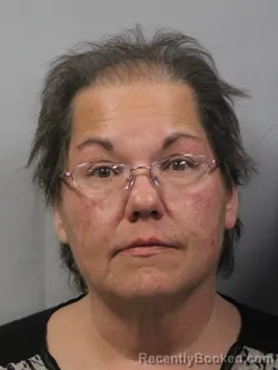 Mugshot of Melissa Dawn Mills
