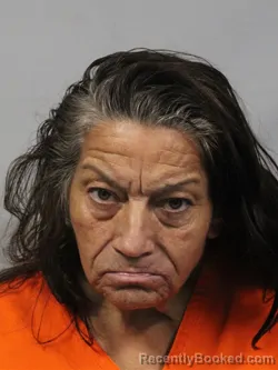 Mugshot of Pamela Hale booked in Kanawha County, West Virginia on July 26, 2026
